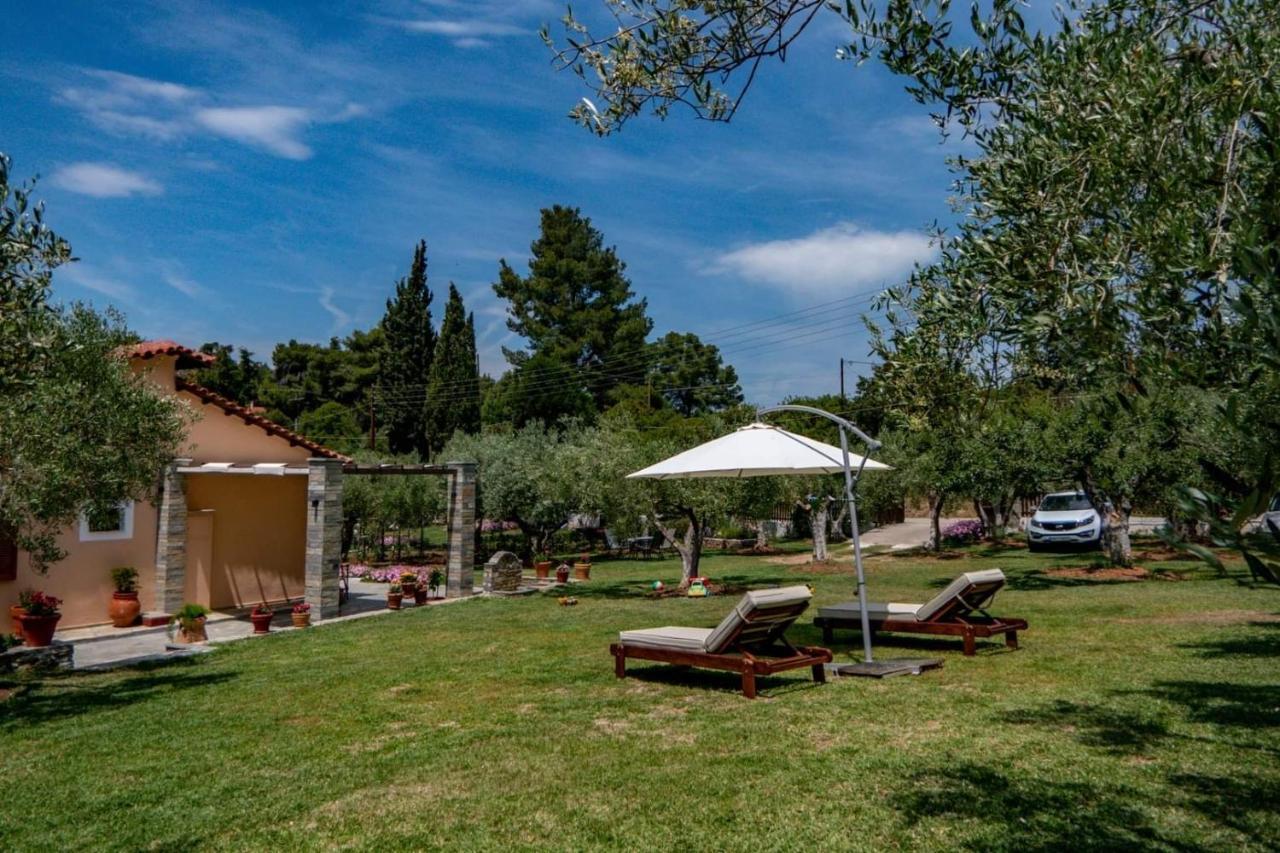 Small Paradise Nikiti  Exterior foto