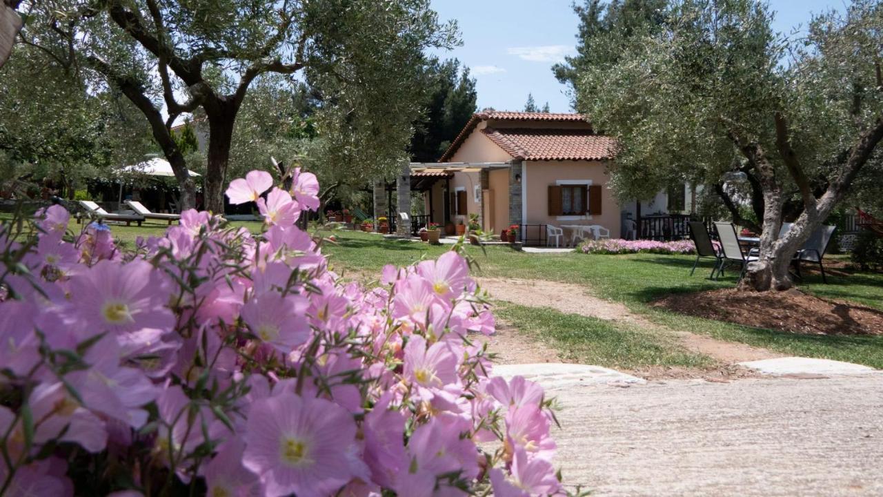 Small Paradise Nikiti  Exterior foto